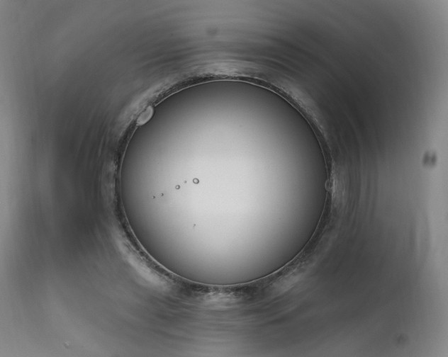 X0000111220445200907021339