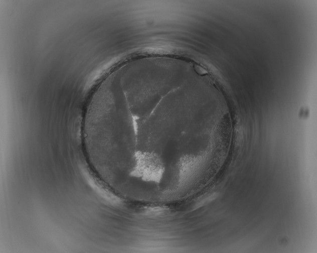 X0000111220446200907021339