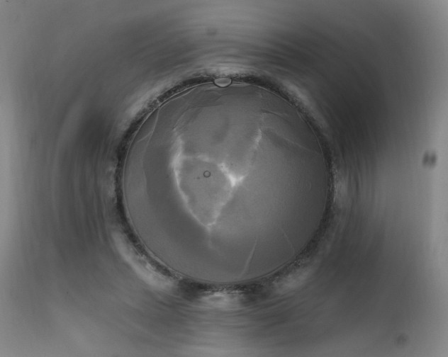 X0000111220447200907021339