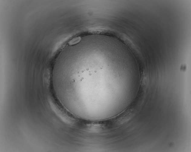 X0000111220448200907021339