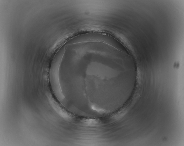 X0000111220449200907021339