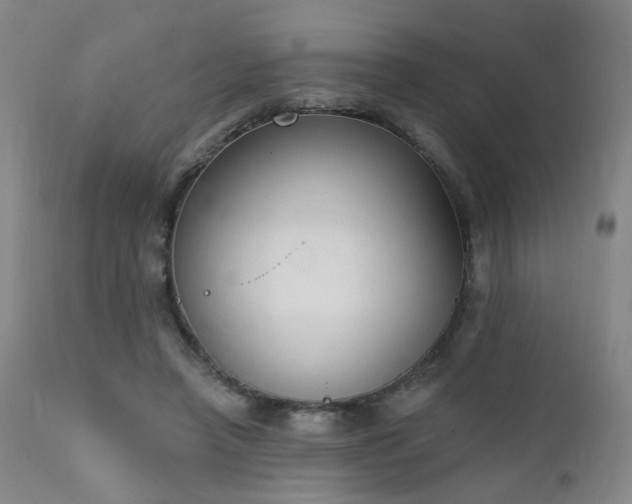 X0000111220450200907021339