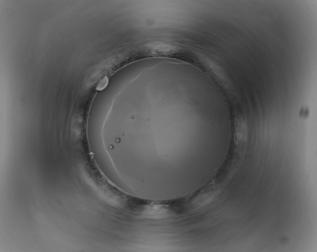 X0000111220451200907021339