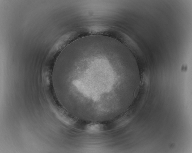 X0000111220452200907021339