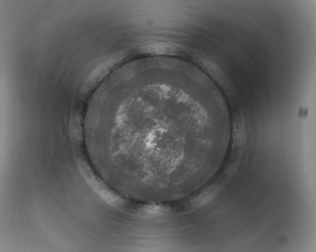 X0000111220453200907021339