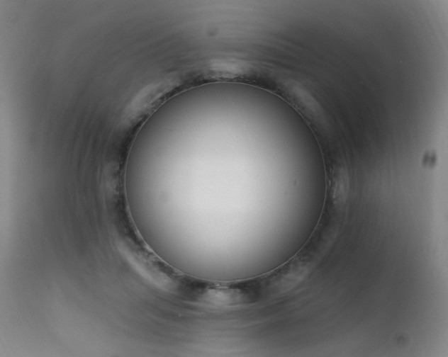 X0000111220455200907021339