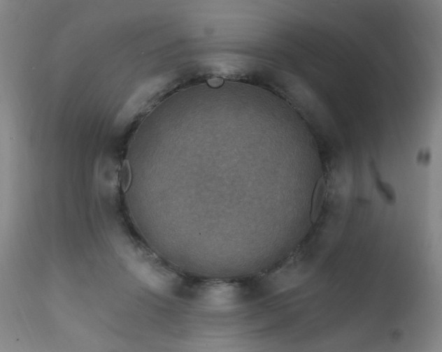 X0000111220456200907021339