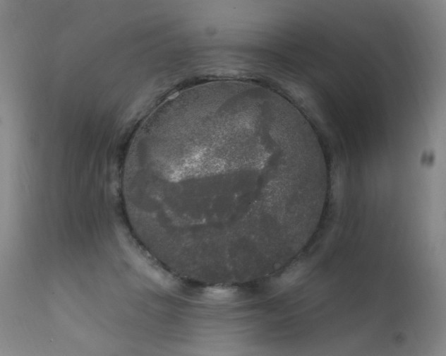 X0000111220457200907021339