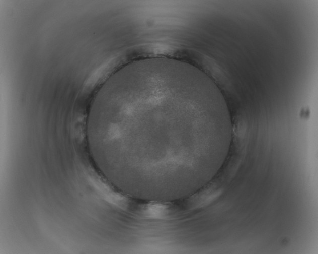 X0000111220462200907021339