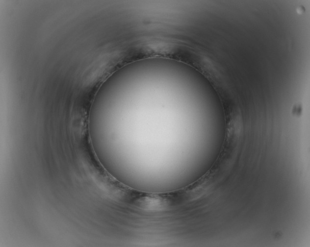 X0000111220464200907021339