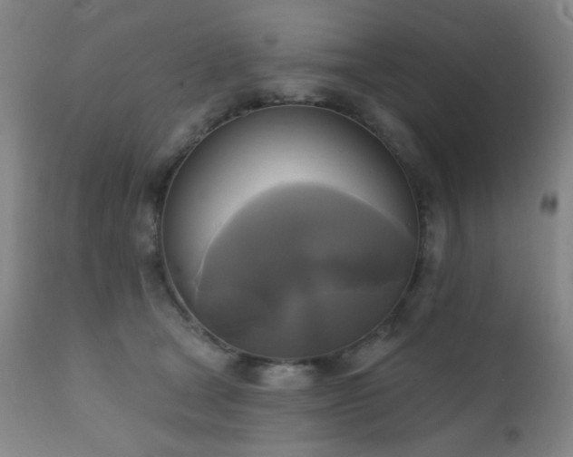 X0000111220465200907021339