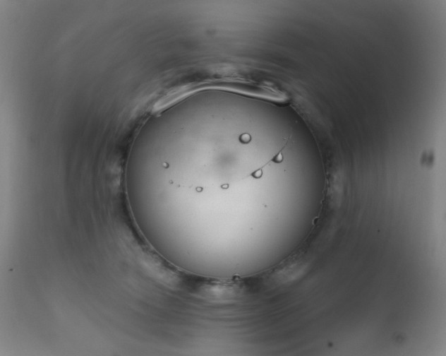 X0000111220466200907021339
