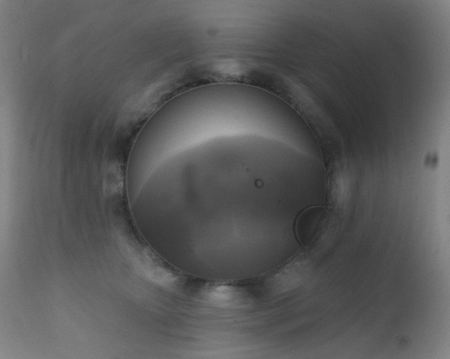 X0000111220467200907021339