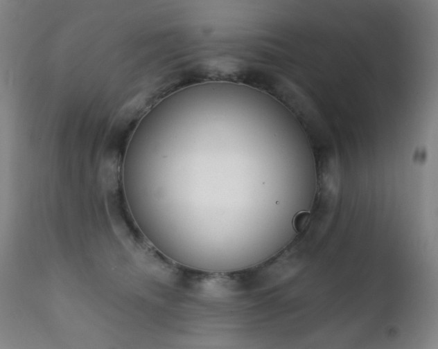 X0000111220468200907021339