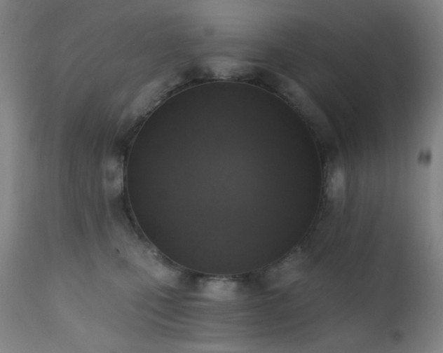 X0000111220471200907021339