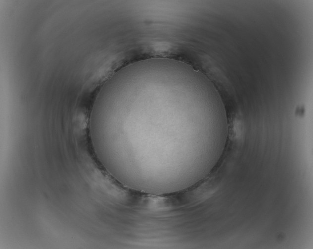 X0000111220472200907021339