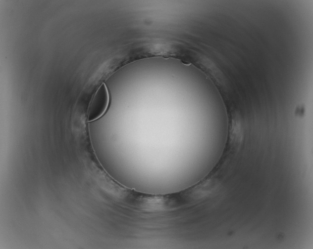 X0000111220473200907021339