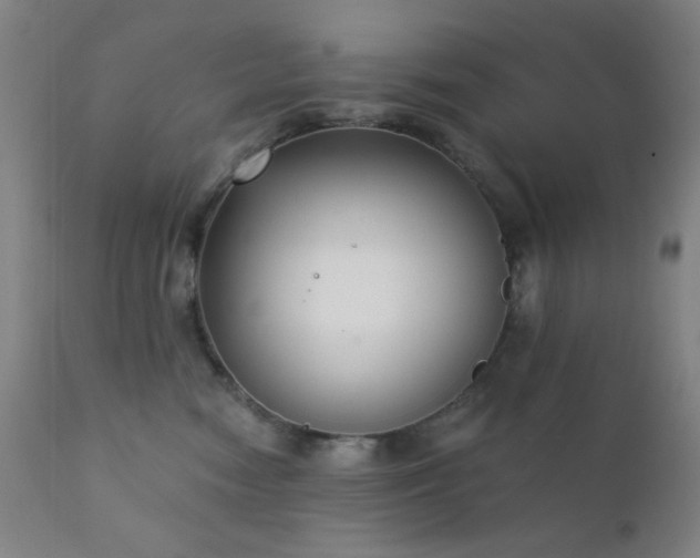 X0000111220474200907021339