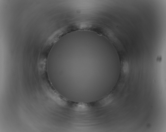 X0000111220475200907021339