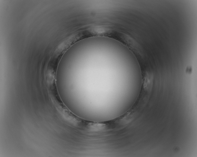 X0000111220476200907021339