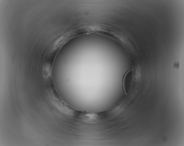 X0000111220478200907021339