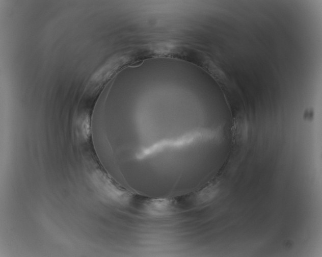 X0000111220479200907021339