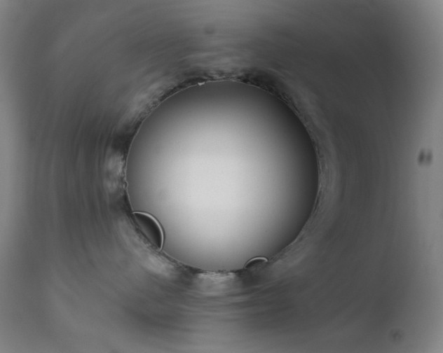 X0000111220480200907021339