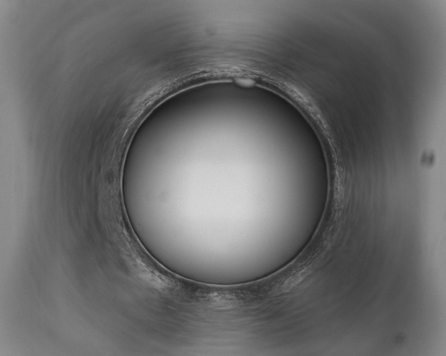 X0000111220481200907021339