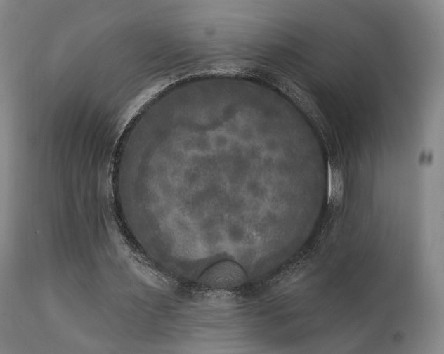 X0000111220483200907021339