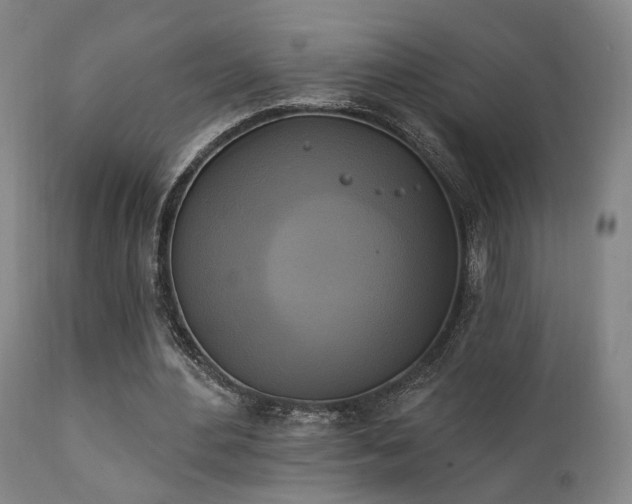 X0000111220484200907021338