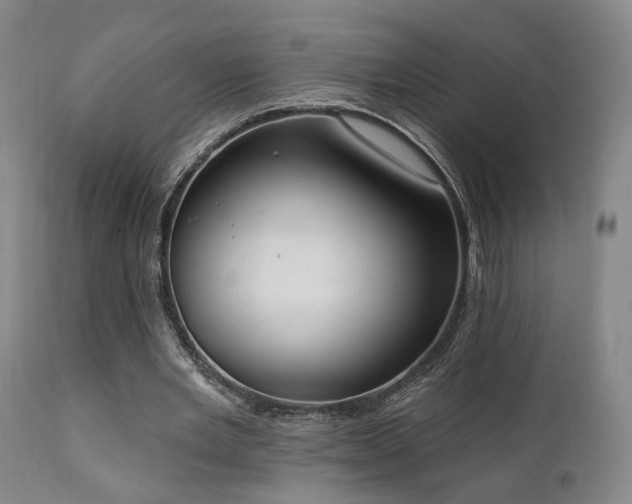 X0000111220485200907021338