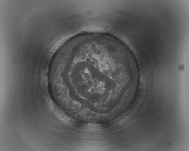 X0000111220487200907021338