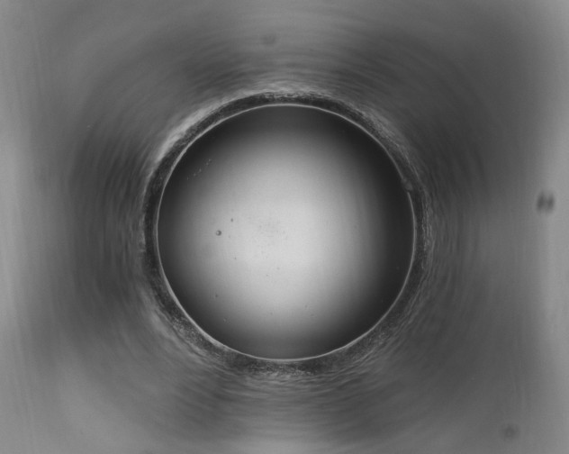 X0000111220488200907021338