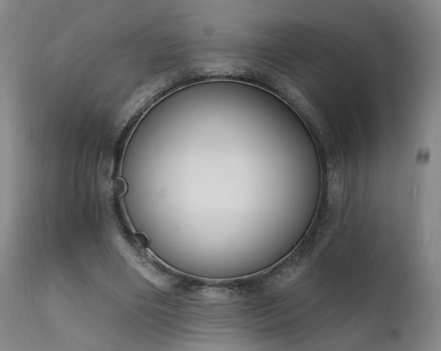 X0000111220490200907021338