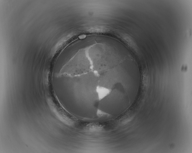 X0000111220491200907021338