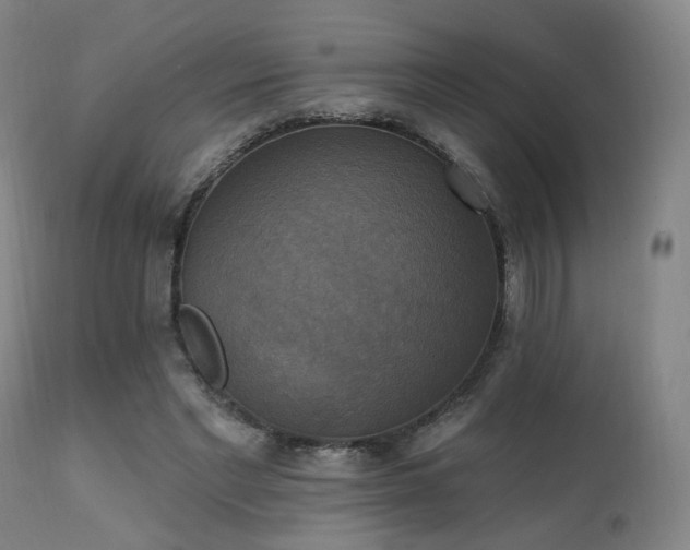 X0000111220493200907021338