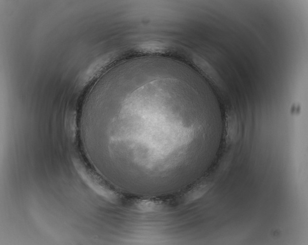 X0000111220494200907021338