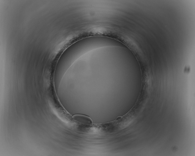 X0000111220496200907021338