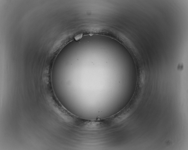 X0000111220497200907021338