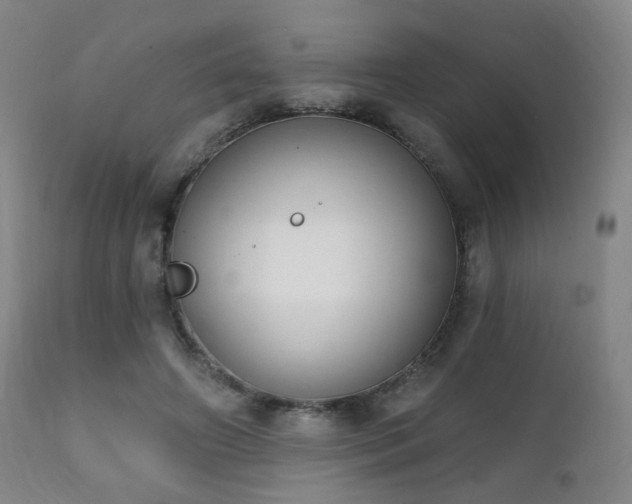 X0000111220498200907021338