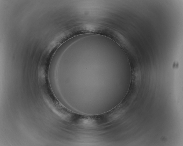 X0000111220500200907021338