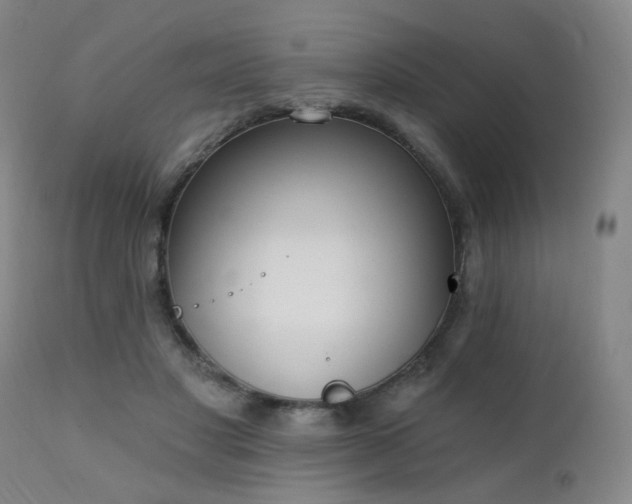 X0000111220501200907021338