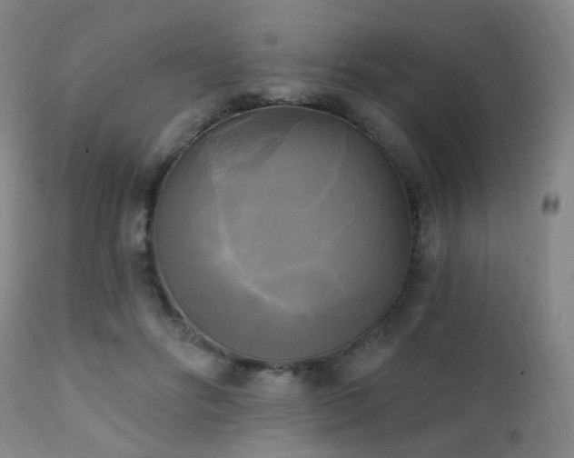 X0000111220502200907021338