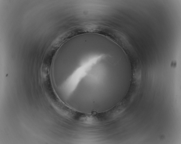 X0000111220503200907021338