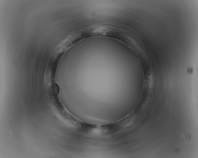 X0000111220504200907021338