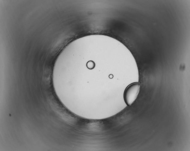 X0000111220505200907021338