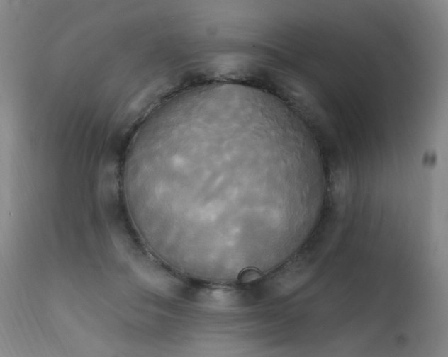 X0000111220506200907021338