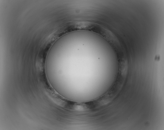 X0000111220510200907021338