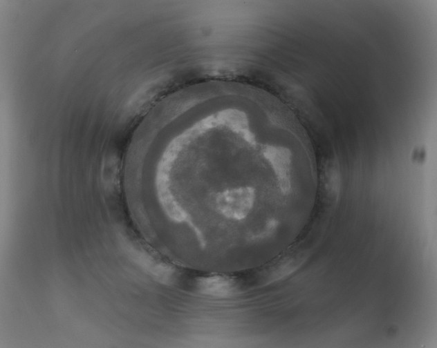 X0000111220511200907021338