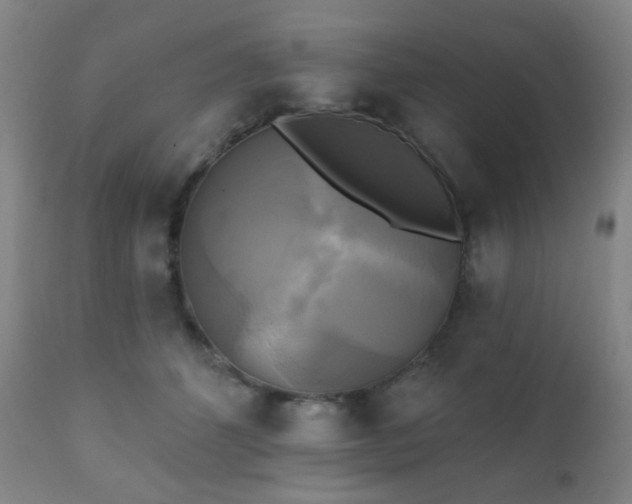 X0000111220512200907021338